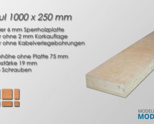 Modultisch 1000 x 250 mm